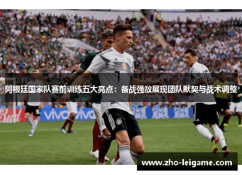 阿根廷国家队赛前训练五大亮点：备战强敌展现团队默契与战术调整